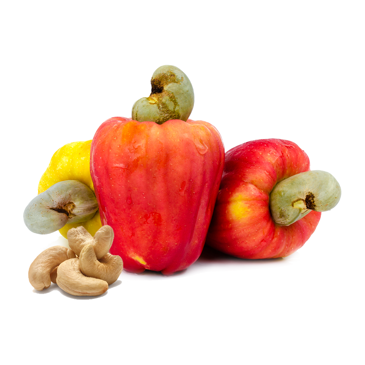 Der vergessene Schatz der Cashewfrucht – warum wir ihr Potenzial nutzen müssen